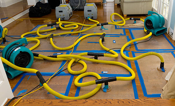 Professional Basement Flood Cleanup technician working in Kosse, TX